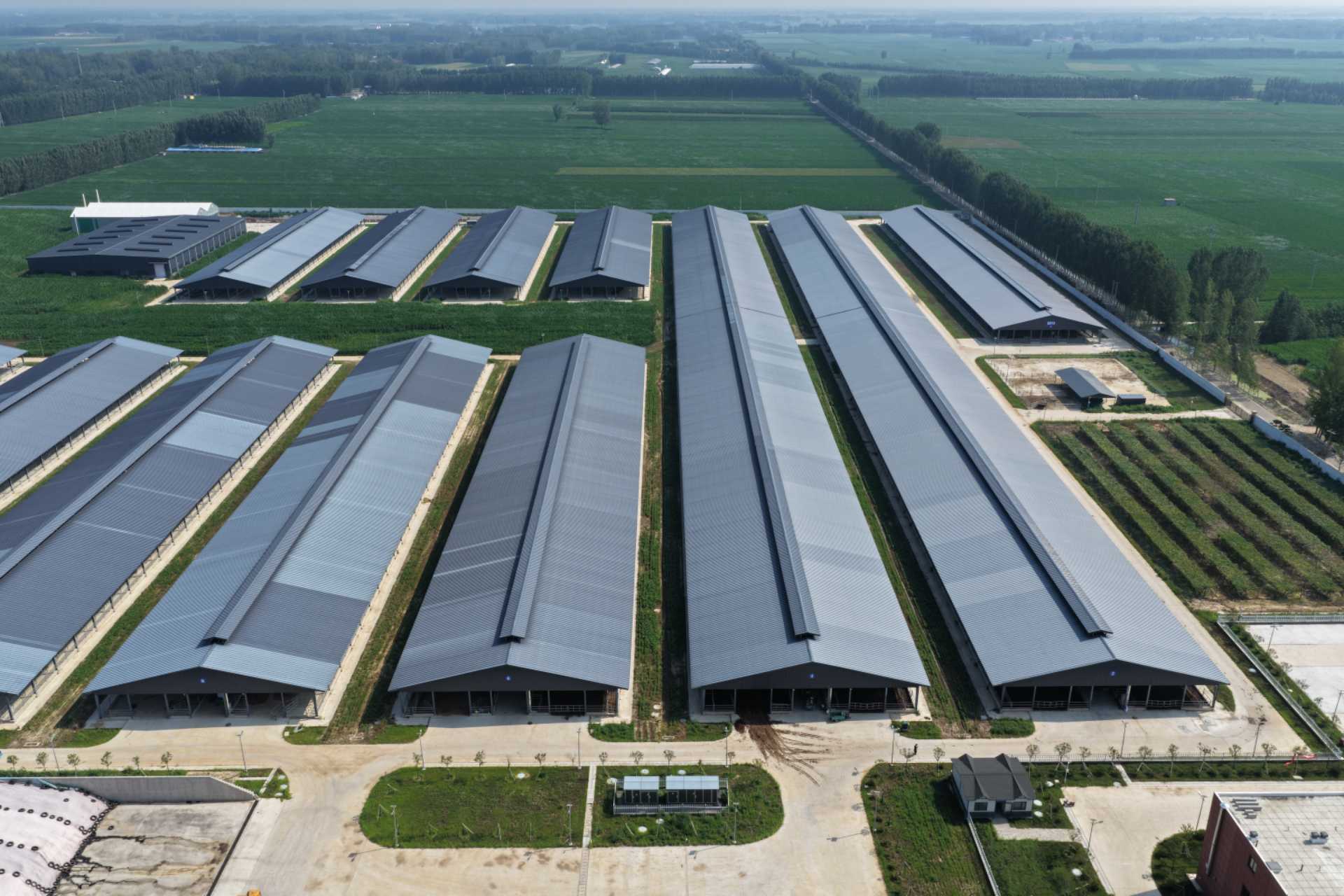 首页关于我们背景