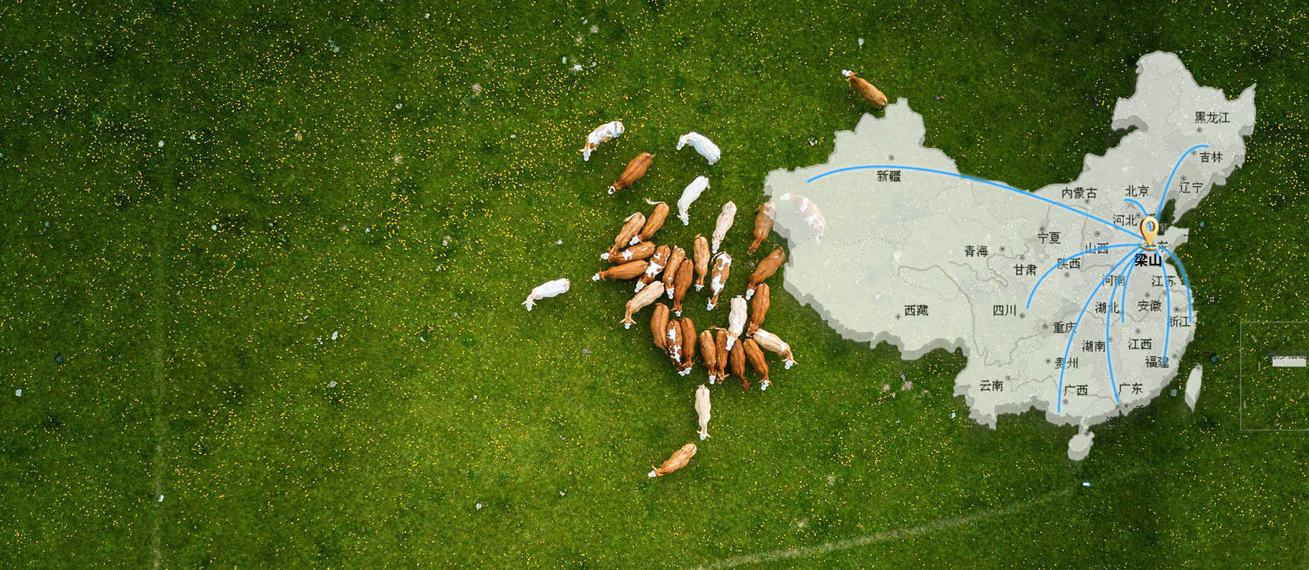 北牛南调<br><br>全国性供应链网络